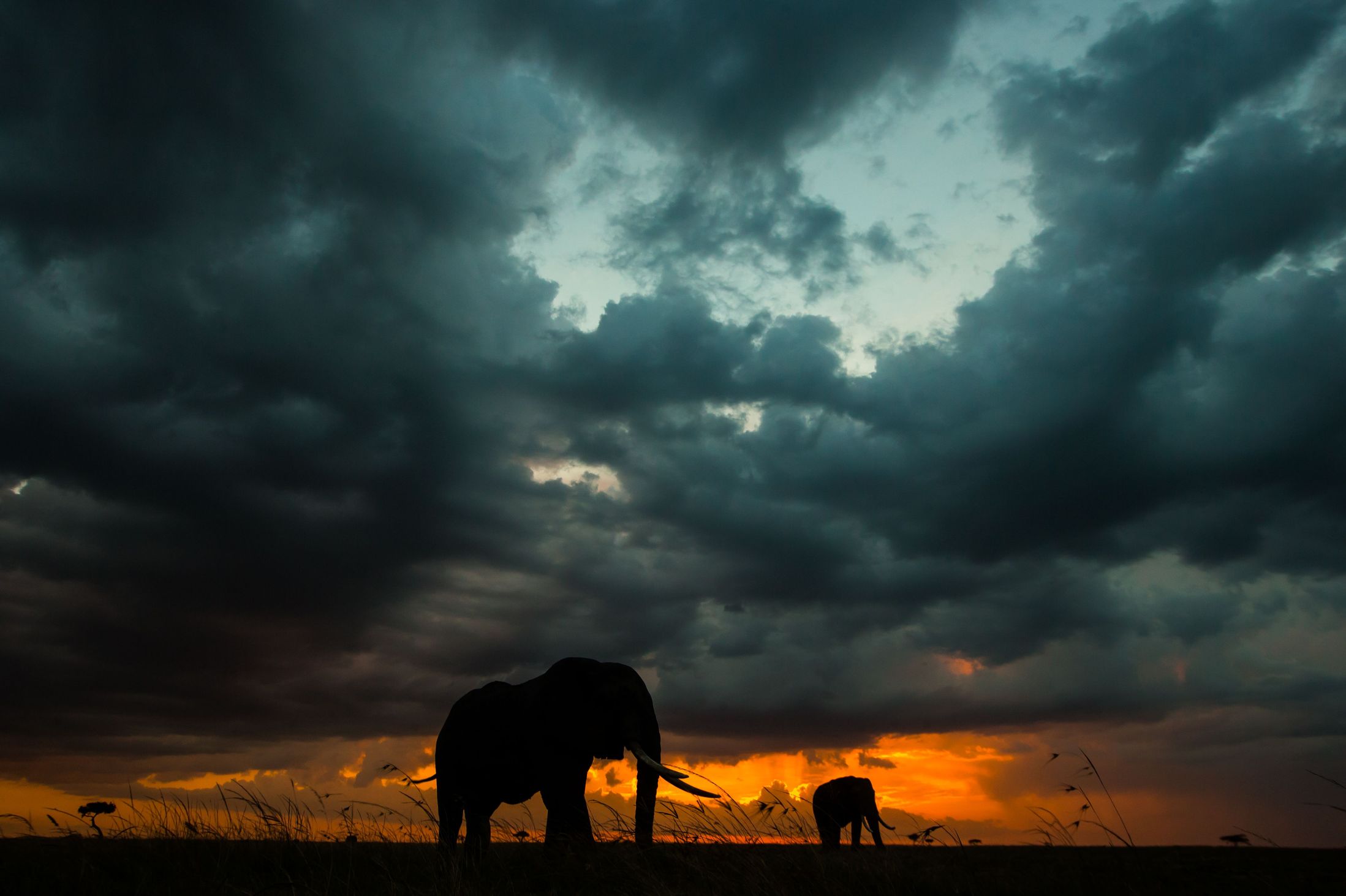 Феноменальные закаты и природа Кении
