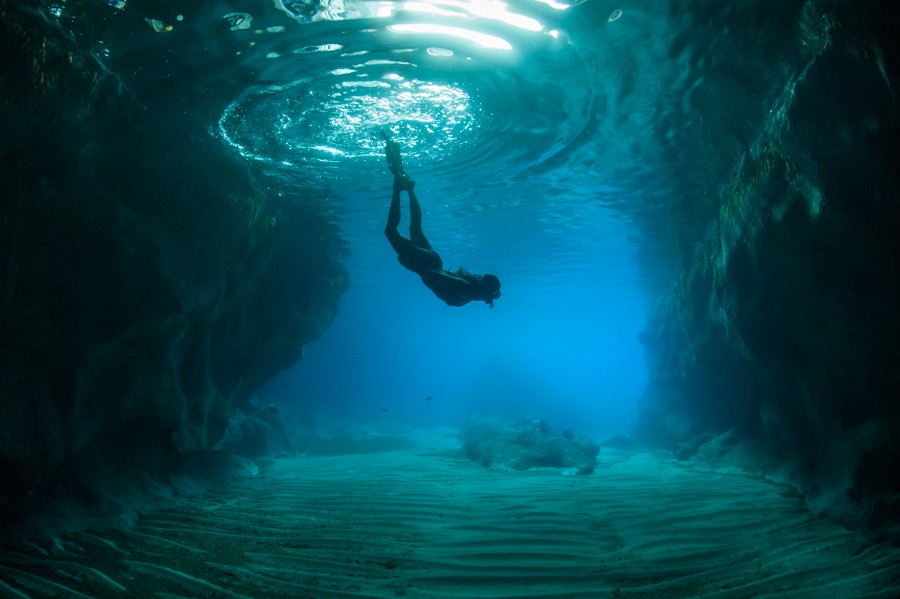 10 лучших подводных фотографий года на ресурсе 500px