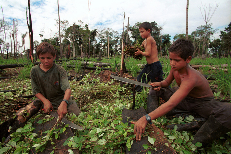 Фотографии поселений в Колумбии, зависящих от выращивания коки