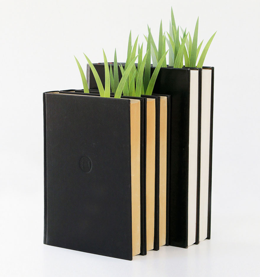 Травяные закладки для книг