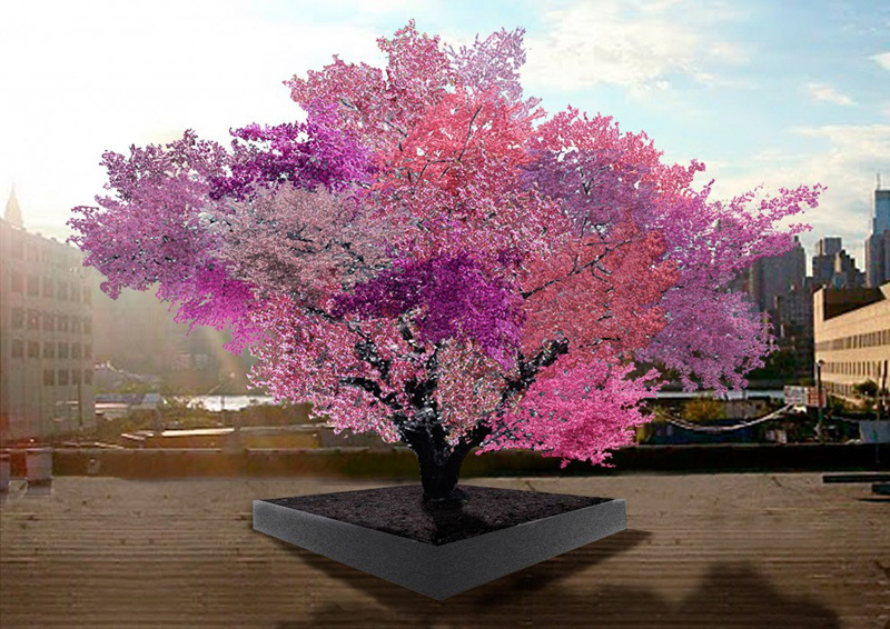 Это дерево приносит 40 разных видов плодов