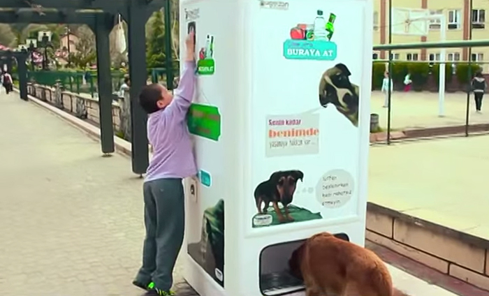 Вендинговый автомат принимает бутылки и выдаёт пищу для бездомных собак-4