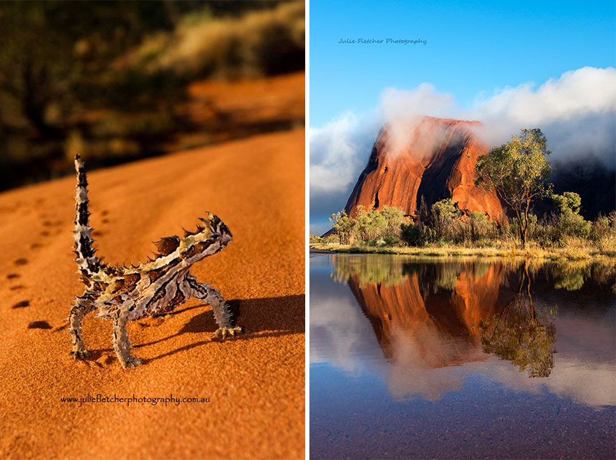 Природа Австралии в пейзажных фотографиях Джули Флетчер-9