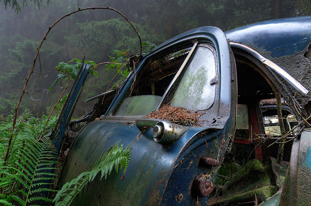 Эти автомобили стоят в пробке в бельгийском лесу больше 70 лет