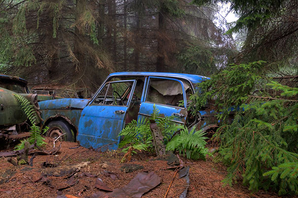 Эти автомобили стоят в пробке в бельгийском лесу больше 70 лет