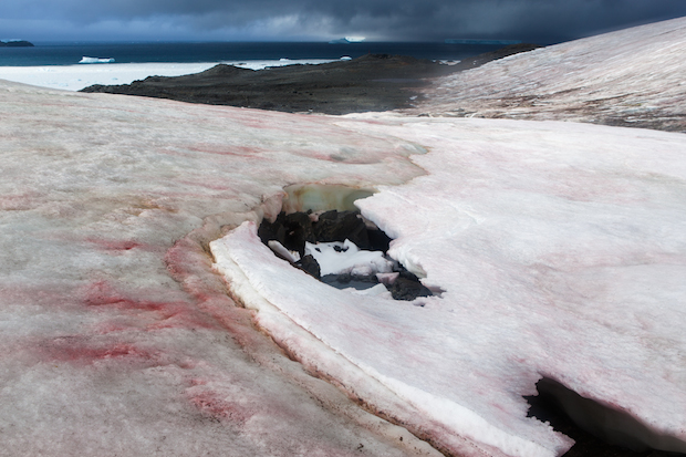Красочные пейзажи Антарктиды от Гастона Лакомба_0015