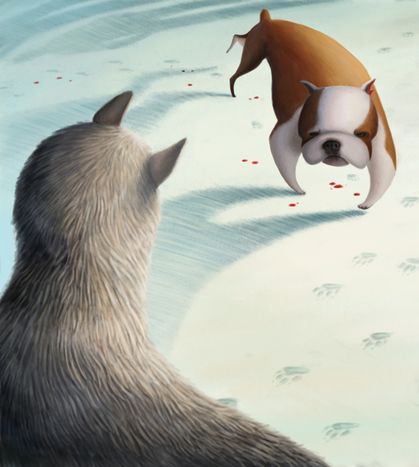 Иллюстрации животных от художницы из Питера - Вари Колесниковой
