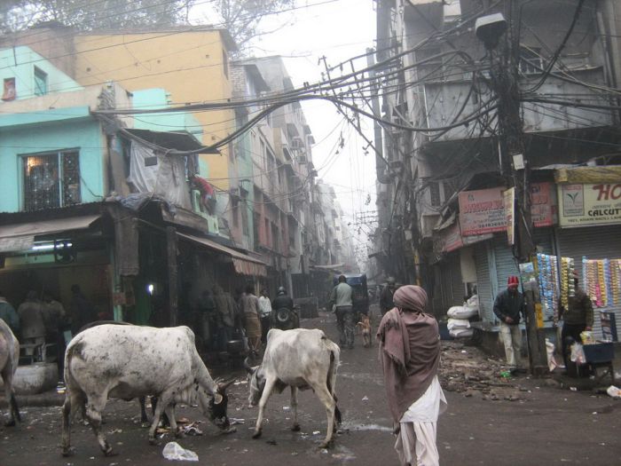 Грязнейшие трущобы Индии - 55 фотографий
