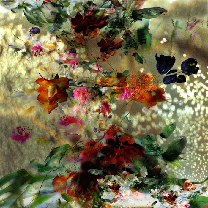 Великолепные и выразительные фотографии цветов от Изабель Менин