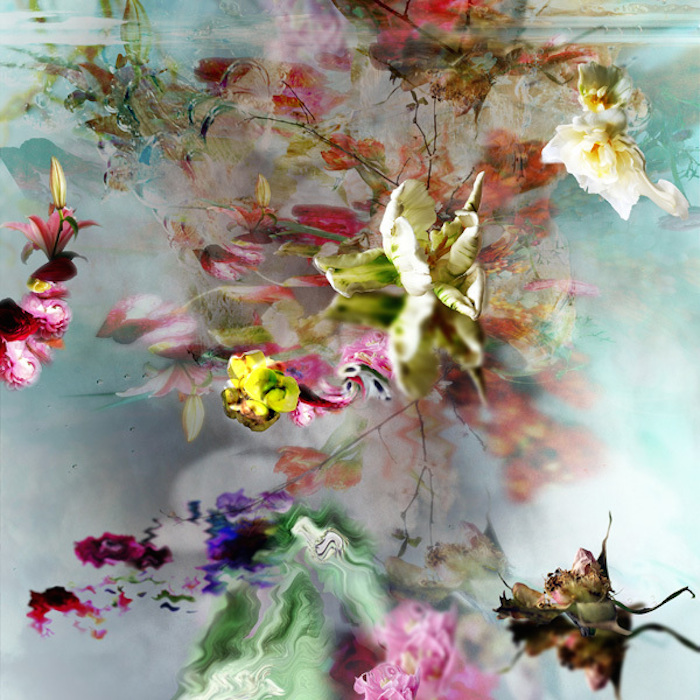 Великолепные и выразительные фотографии цветов от Изабель Менин