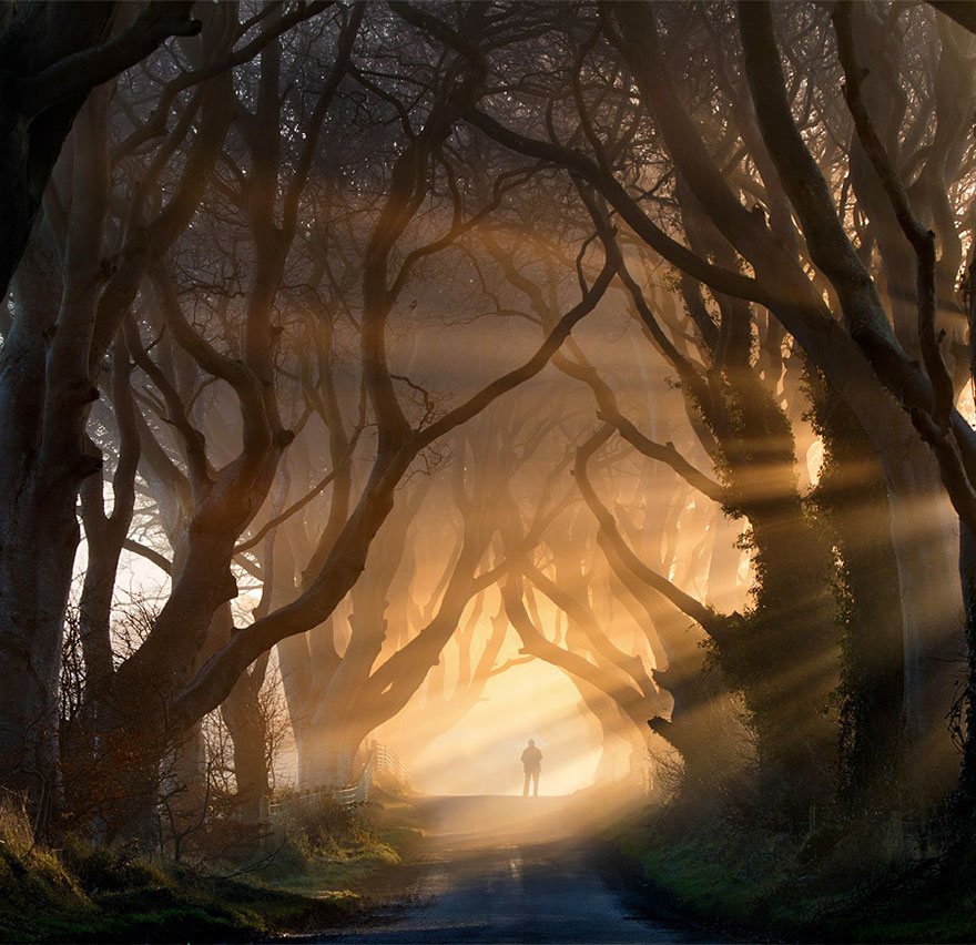 Таинственный туннель деревьев из фильма «Игра престолов»-2