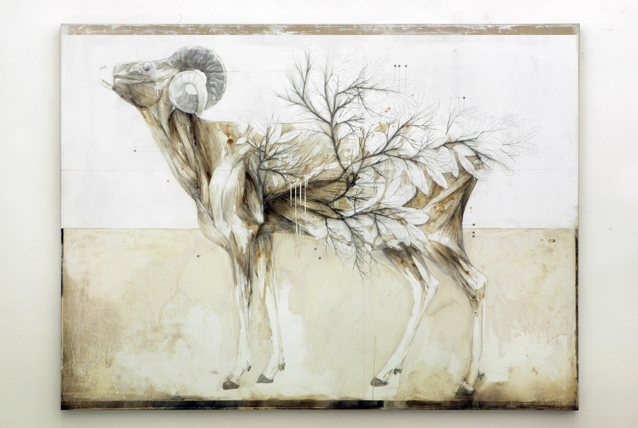 Природа и анатомия или баланс между реальностью и воображением в картинах Нунцио Пачи