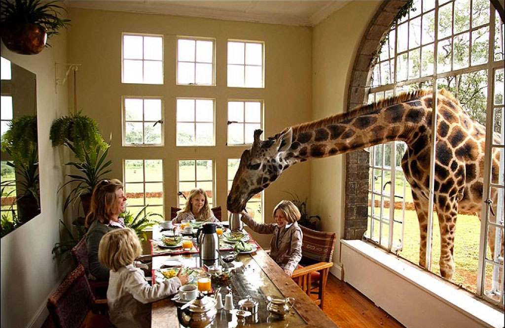 Giraffe Manor, Кения