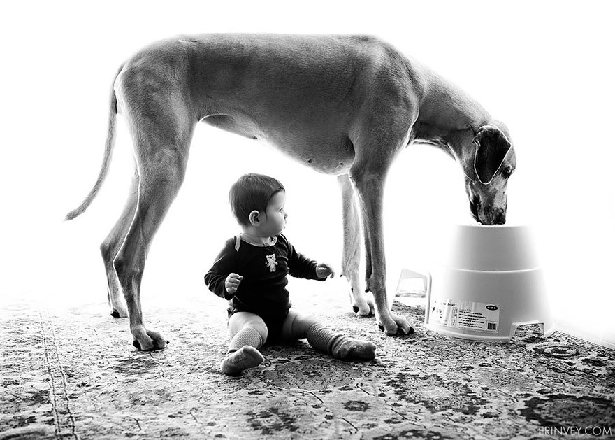 Когда собаки большие, а дети маленькие - 44 потрясающие фотографии - 31