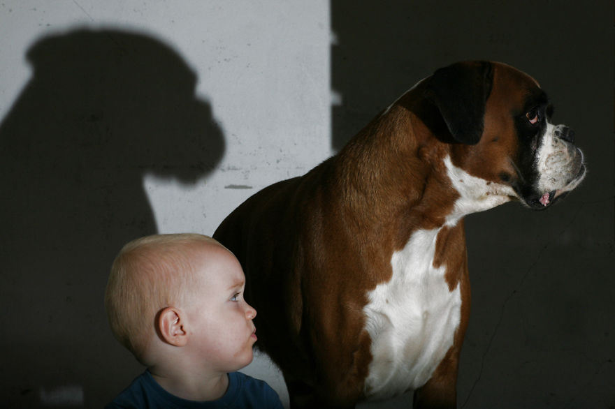 Когда собаки большие, а дети маленькие - 44 потрясающие фотографии - 40
