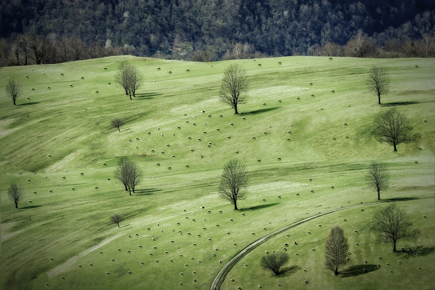 Колоритные пейзажи с овцами - 25 фото-23