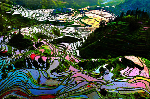 12-Rice-Terraces-Yunnan-China