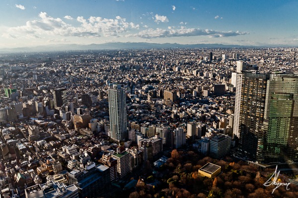 The-Tokyo-View