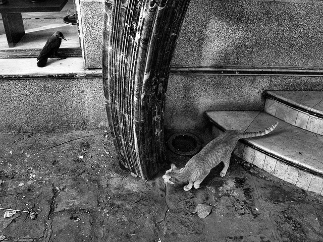 Исключительные моменты в уличной фотографии - черно-белая коллекция - 35