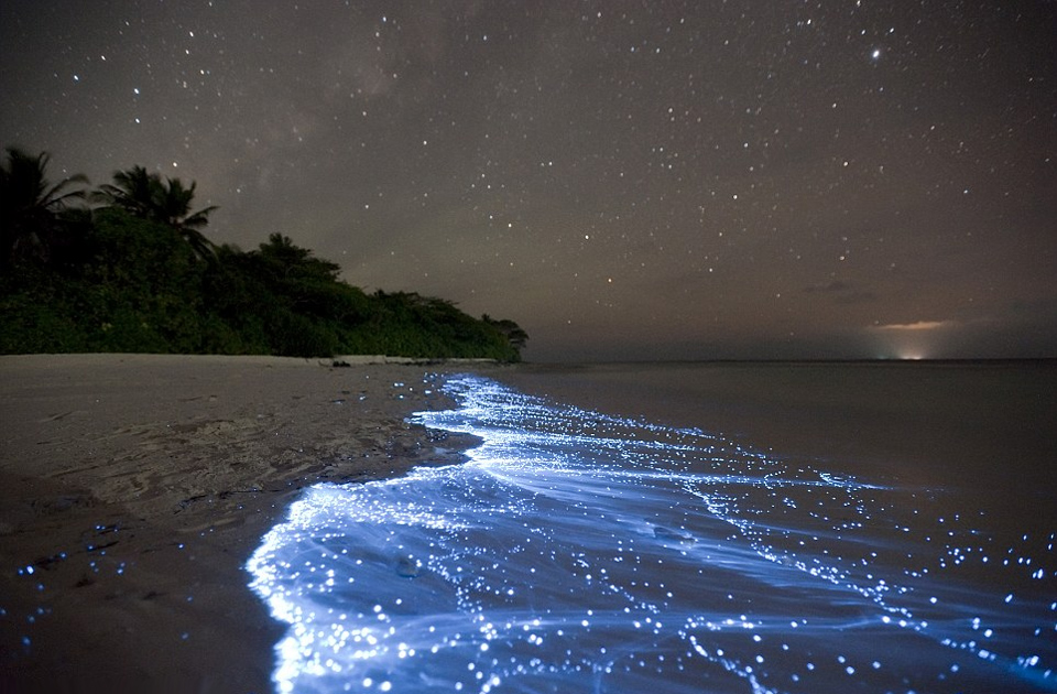 natural-phenomenon-electric-neon-blue-water-maldives