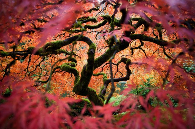 Winners of the National Geographic Traveler Photo Contest 2012 Announced