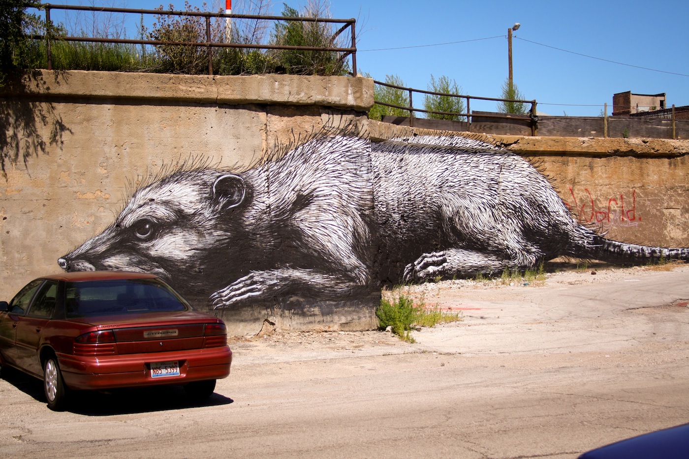 By ROA – In Pilsen, Chicago, USA