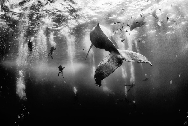 Журнал National Geographic объявил победителей фотоконкурса Traveler Photo Contest 2015