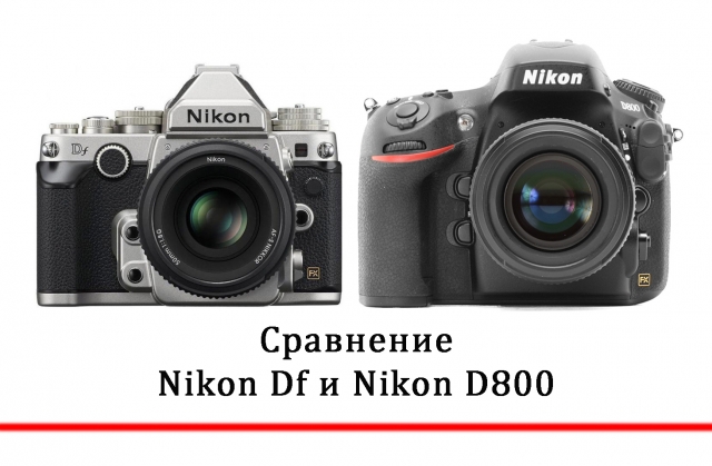 Сравнение характеристик Nikon DF и D800