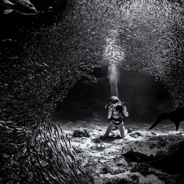       underwater photographer 