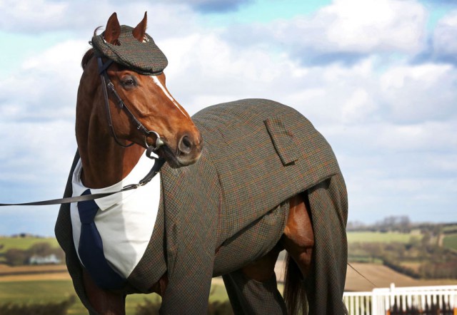 Впервые коня нарядили в дизайнерский твидовый костюм