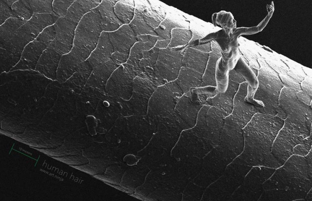 Нано-скульптуры Джонти Гурвица. Самые микроскопические фигуры людей в мире