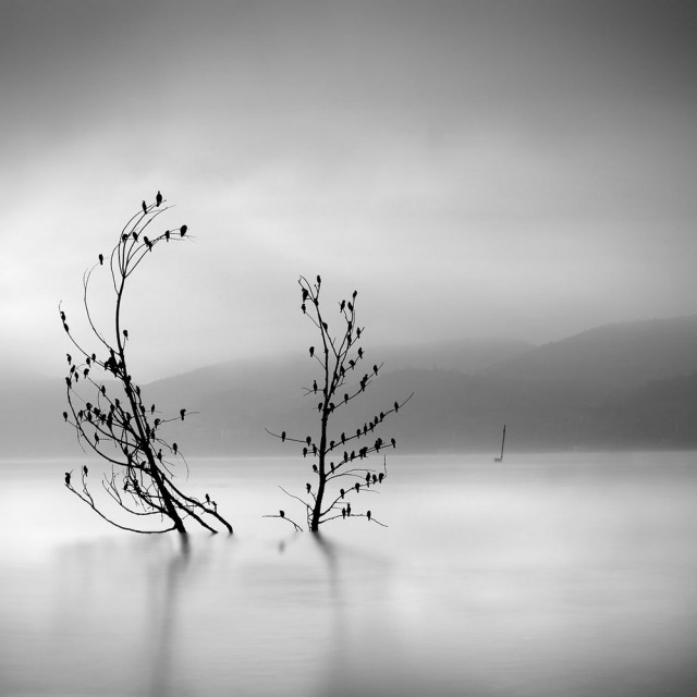 Чёрно-белые пейзажи, уходящие за пределы реальности. Фотограф Джордж Дигалакис