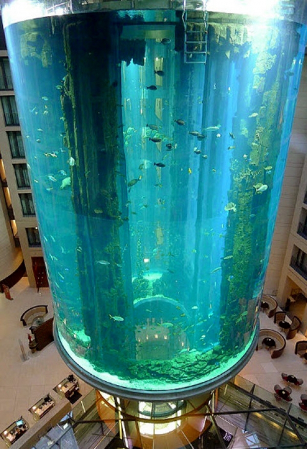Подводное царство в Radisson Blu Hotel