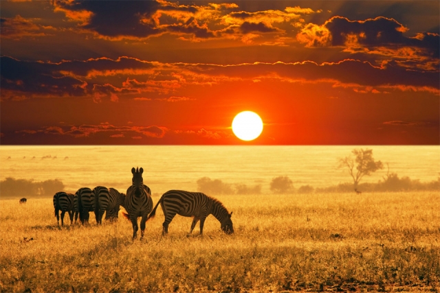 Необыкновенные фотографии Африканских пейзажей