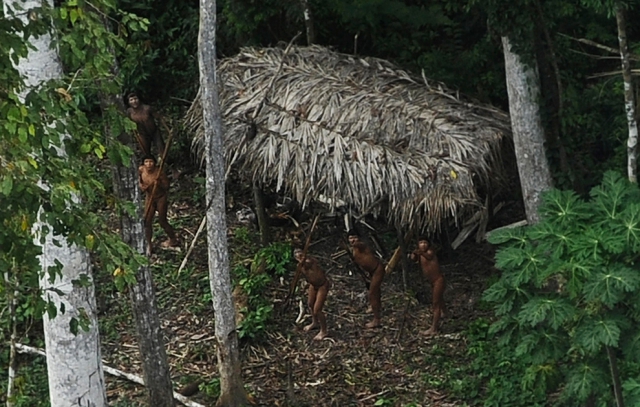 Племена в джунглях Амазонии
