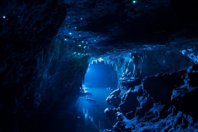 Этой пещере в Новой Зеландии 30 миллионов лет и в ней скрывается прекраснейшее явление, которого больше нет нигде