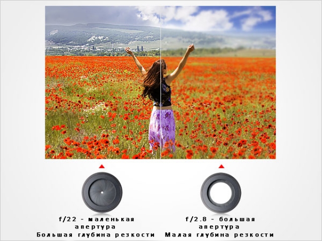 Понимание глубины резкости в фотографии