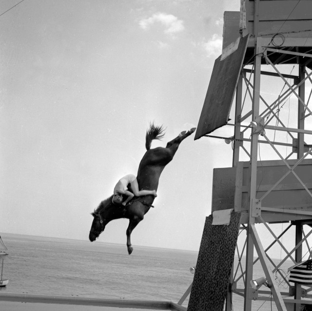 Лошадь просто ныряла в бассейн вместе с наездником с 18-метровой вышки – ретро фото экстремального шоу (1943-1969)
