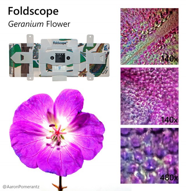 Фолдоскоп – карманный микроскоп для съёмки со смартфоном всего за 1 доллар