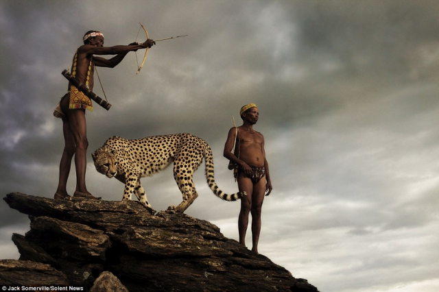 Охотники из древнего племени не боятся диких гепардов - фотограф Джек Сомервилль