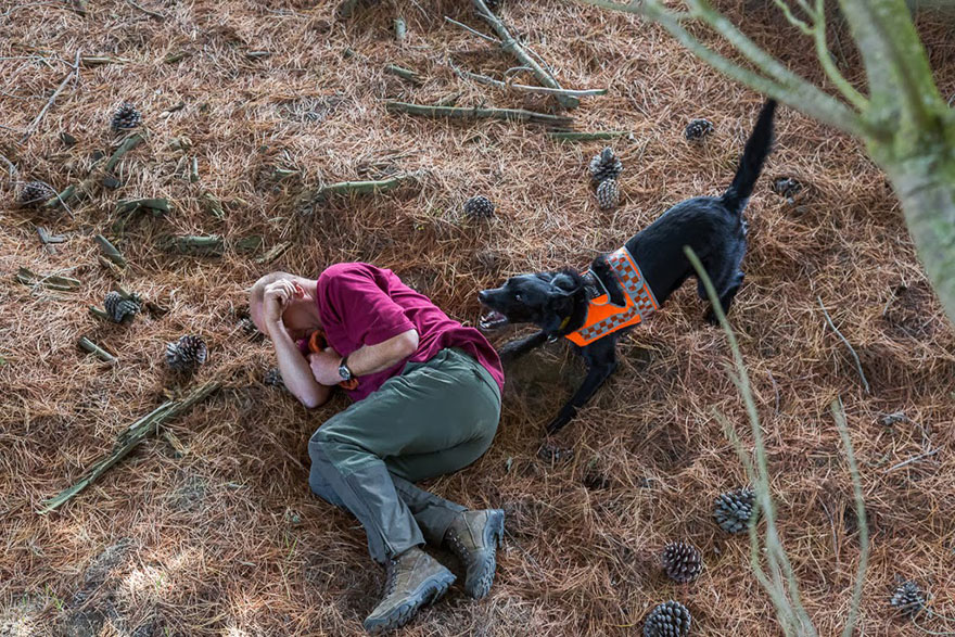 Портреты самых трудолюбивых собак в мире от Эндрю Флейдбо-19