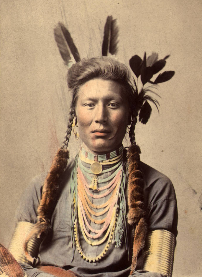 Старый Койот (или Жёлтый пёс). Племя Воронов, 1879 (фотография раскрашена примерно в 1910)