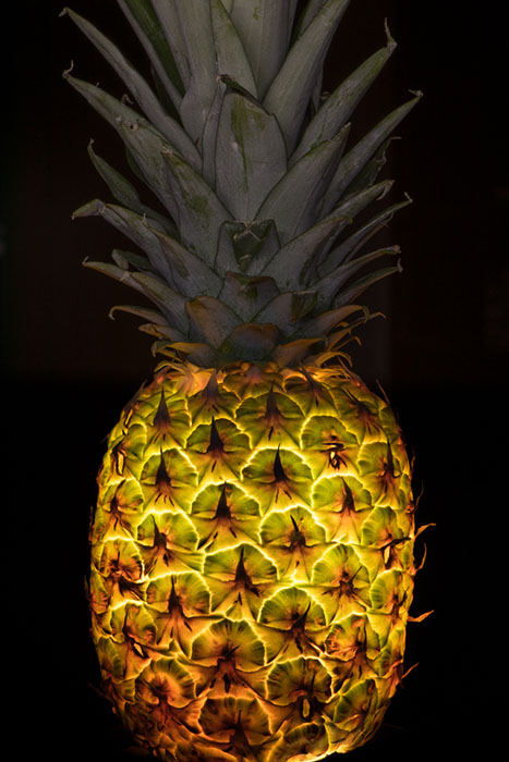 Фотосъёмка фруктов и овощей с внутренней подсветкой