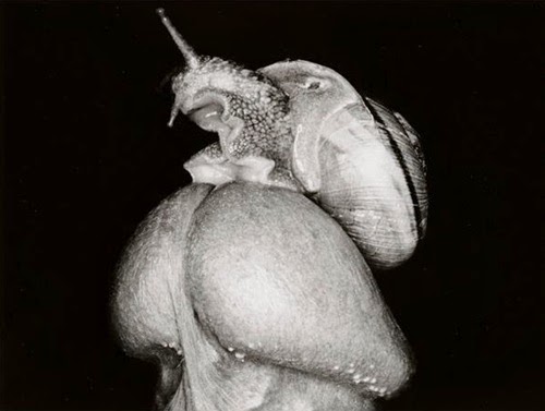 Нобуёси Араки – один из самых знаменитых и эпатажных фотографов в мире
