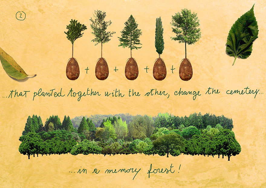 Органические капсулы для захоронения превратят ваших близких в деревья-8