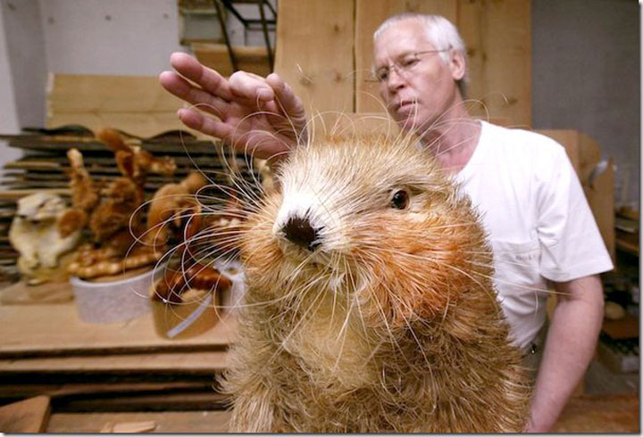 Потрясающие и реалистичные скульптуры животных из сибирского кедра - 20