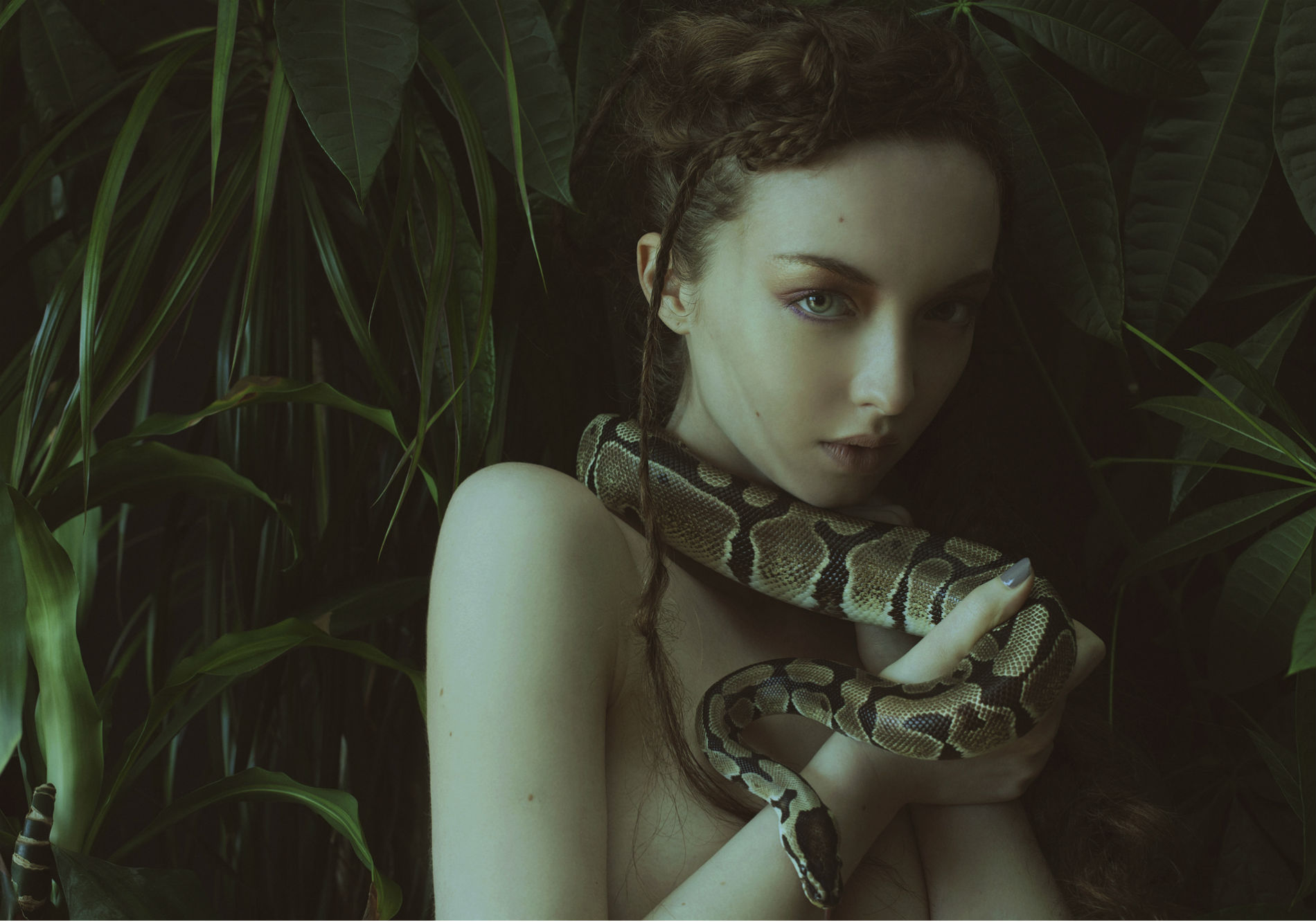 Девушка и змея Эстетика