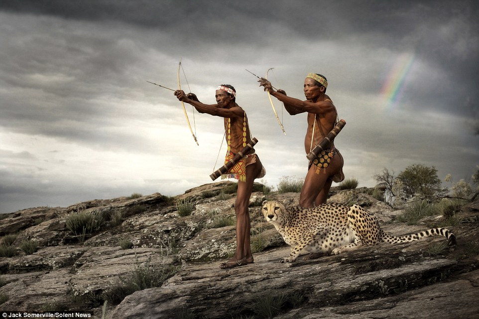 Охотники из древнего племени не боятся диких гепардов - фотограф Джек Сомервилль - 5