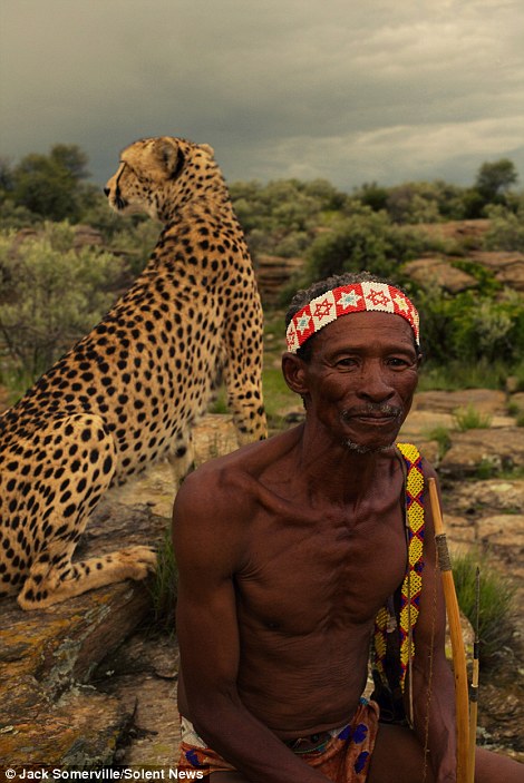 Охотники из древнего племени не боятся диких гепардов - фотограф Джек Сомервилль - 7