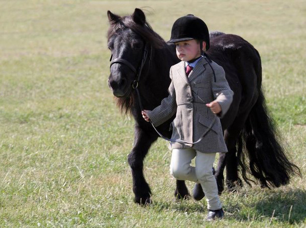 Невероятно очаровательные мини-лошади – 26 фото - 19